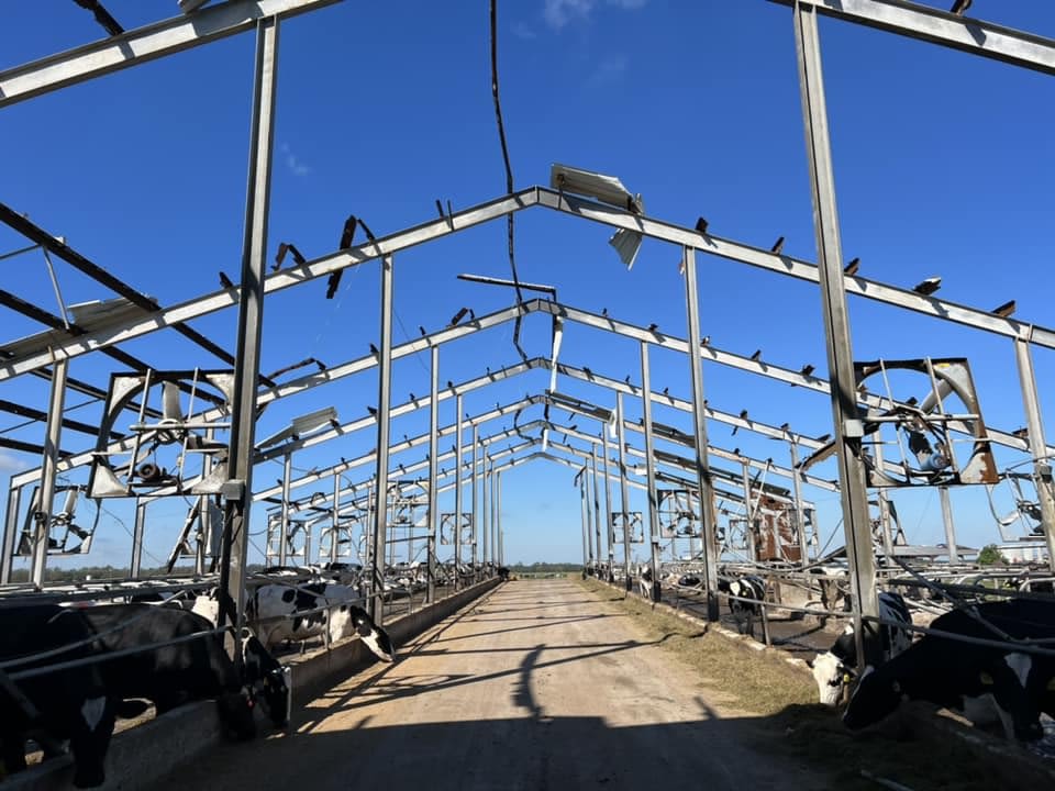 Sixty to 70 percent of the structures at Dakin Dairy farm were damaged during Hurricane Ian.