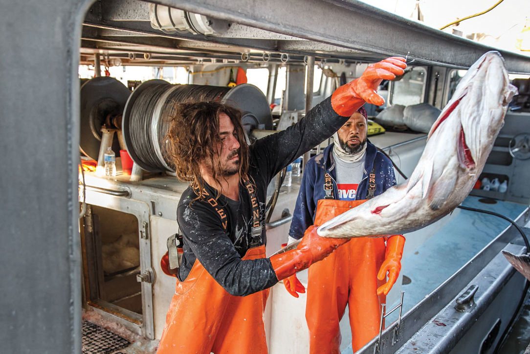 Catch of the Day: Houston’s 7 Best Seafood Markets | Houstonia