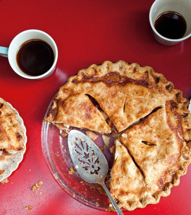 Pie cover an9xca