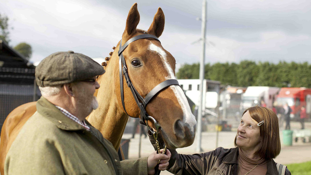Dark horse still 1 twalva