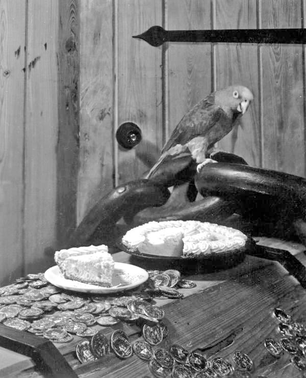 The Buccaneer’s pirate theme included a bar that looked like a sunken ship and a live parrot.