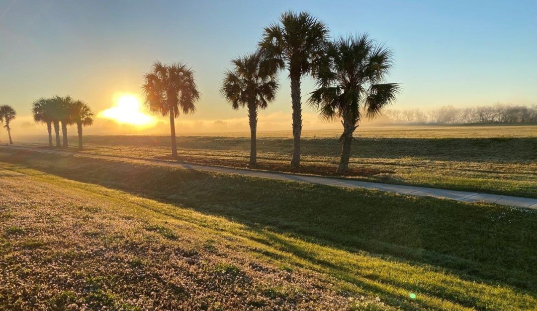 The quad parcels at the Celery Fields.