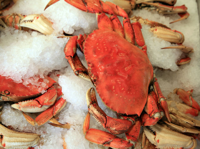 13 dungeness crab bar avignon wnthew