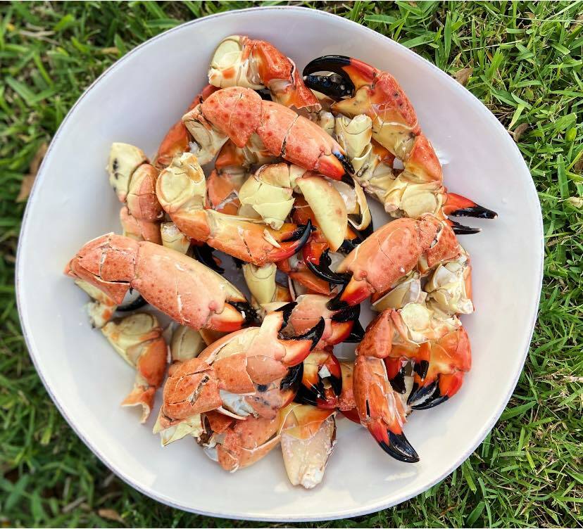 Stone crabs for Thanksgiving.