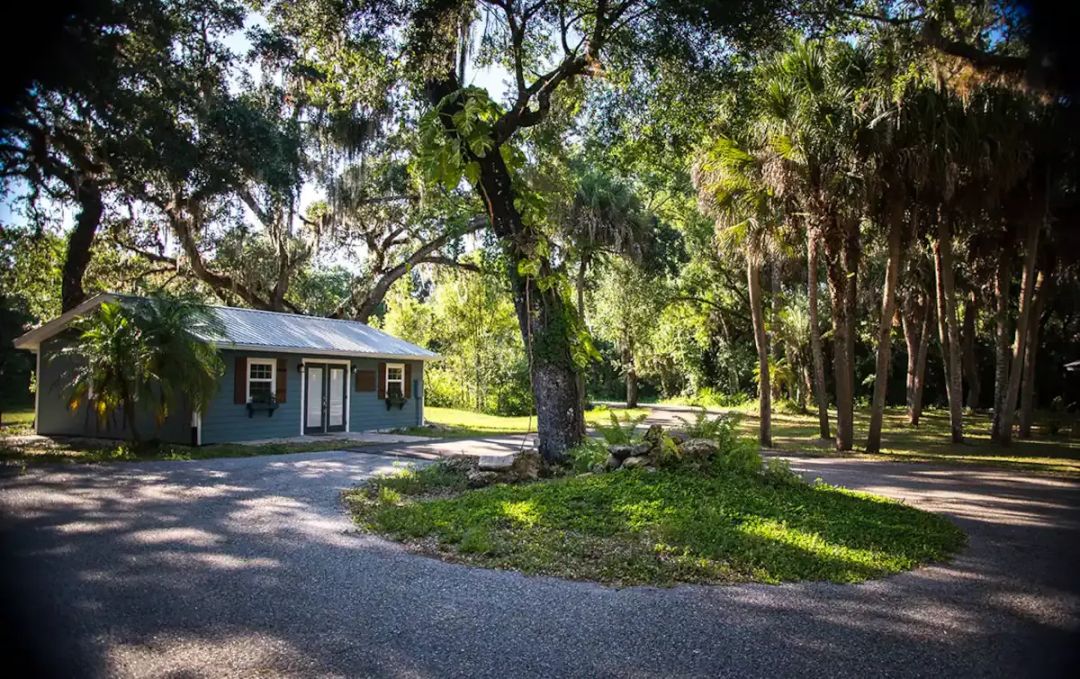 The 1,000 square foot home is nestled in a wooded area approximately half a mile from the private road.