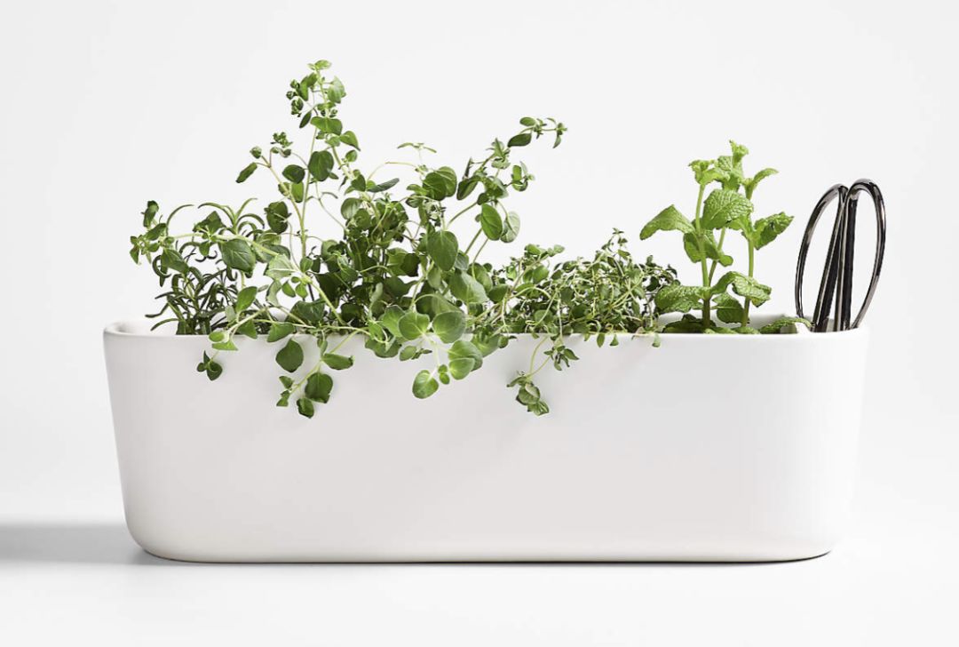 Crate & Barrel Indoor/Outdoor Herb Planter with Scissors