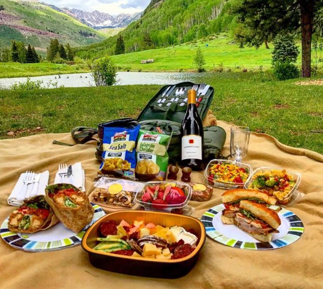 Fs vail picnic backpacks jdytcw