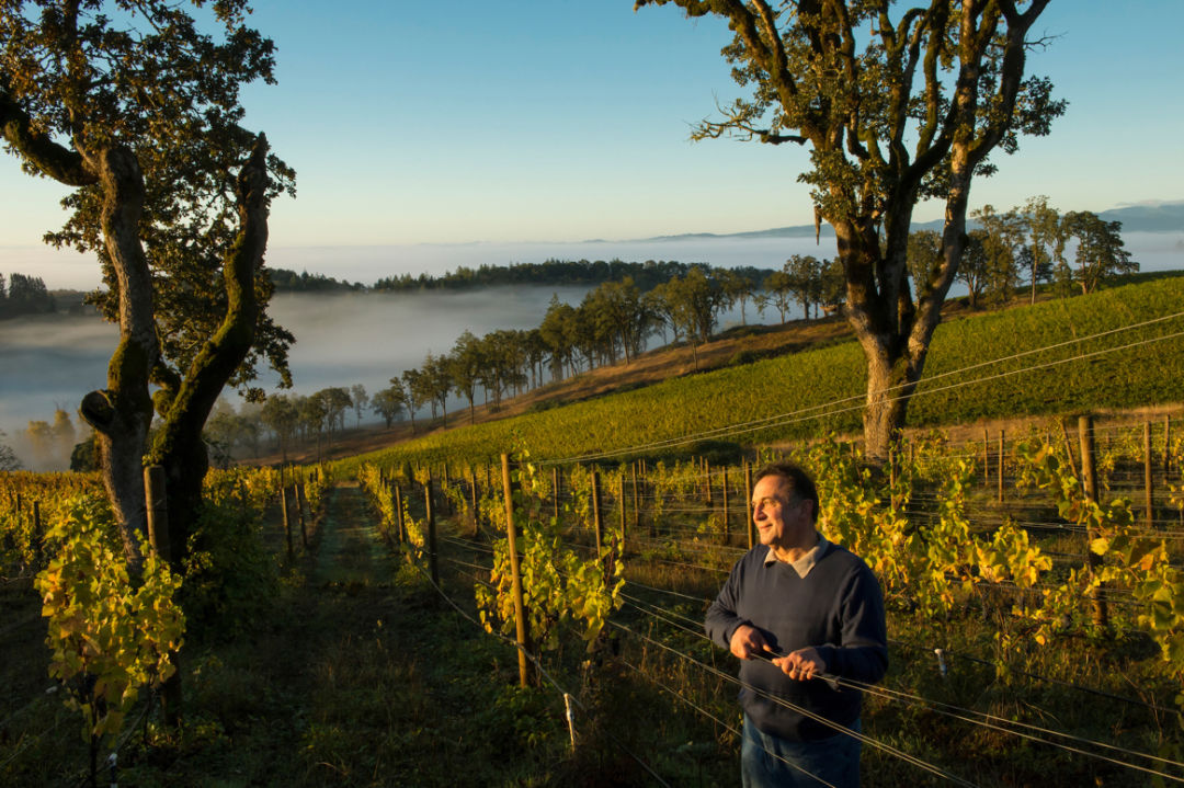 1017 wine country escapes moe momtazi fqhhbv