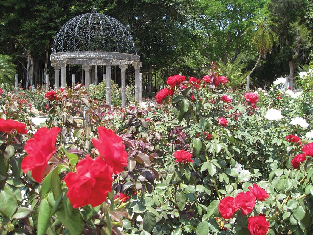 Mable Ringling's rose garden