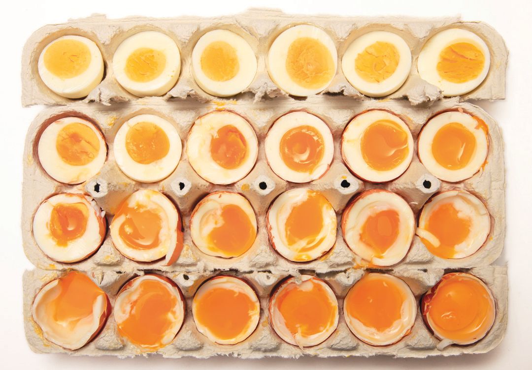 Page 97 foodlab bceaxp