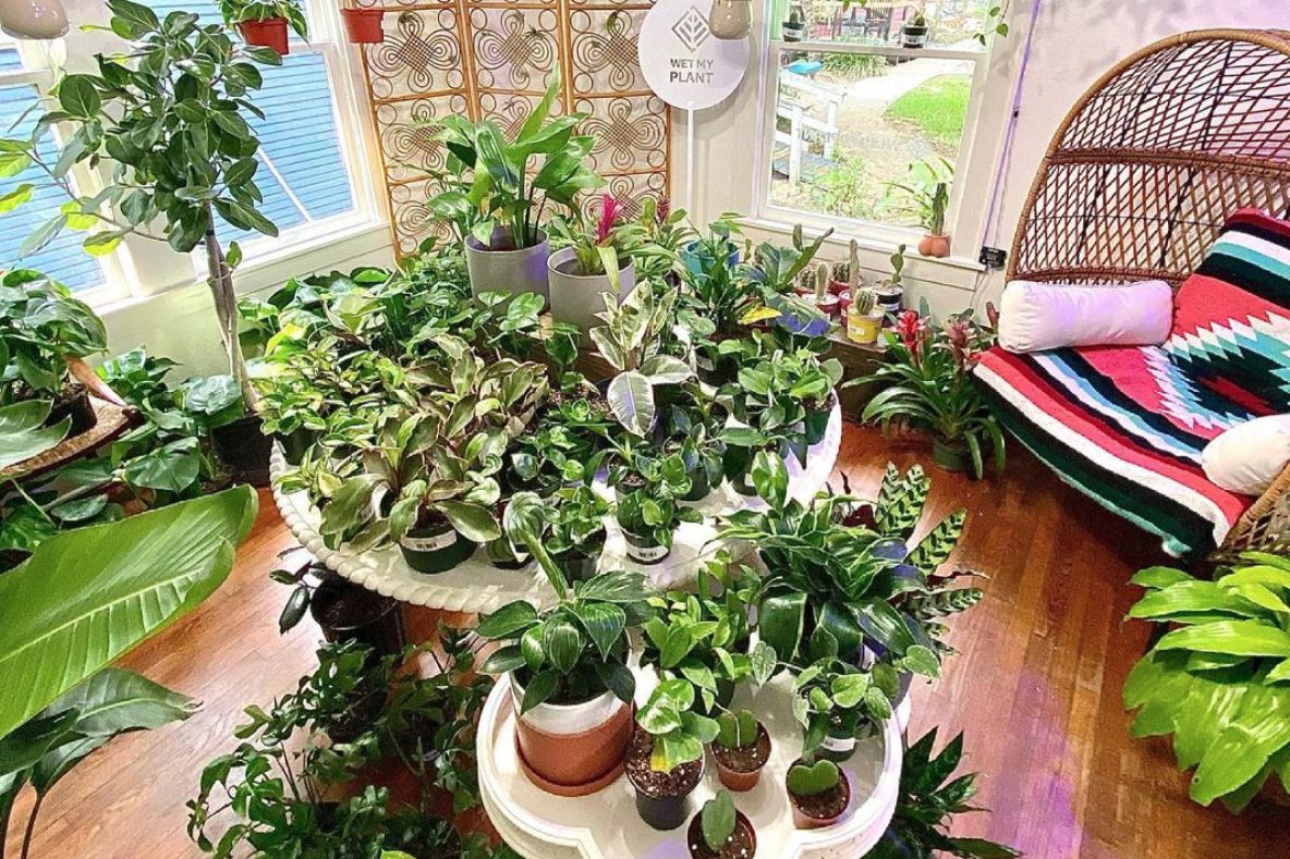 Houston, There’s a Dirt Bag in Montrose Houstonia Magazine