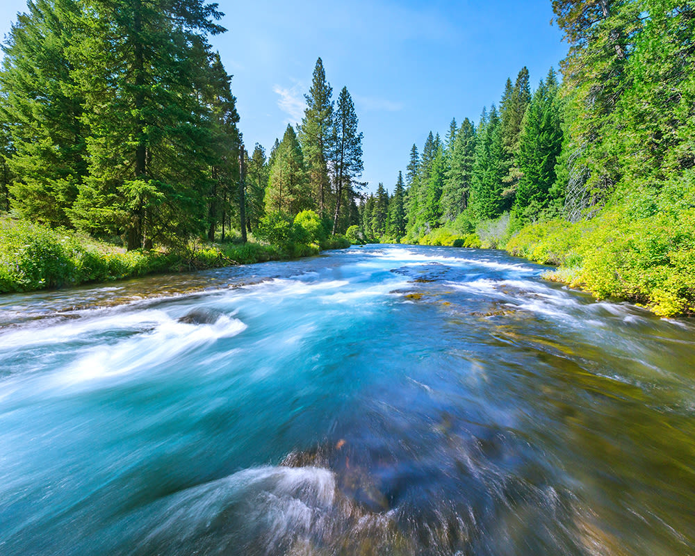 Rogue river vxdleh