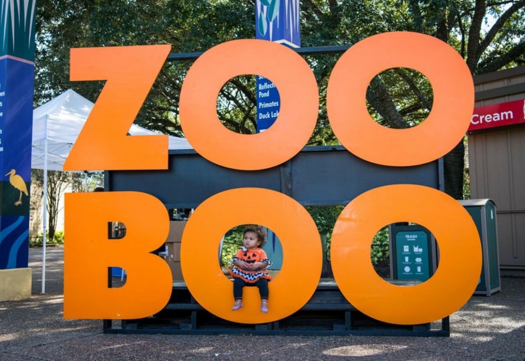 Houston Zoo Boo Returns! What to Know About Dates, Tickets, and More