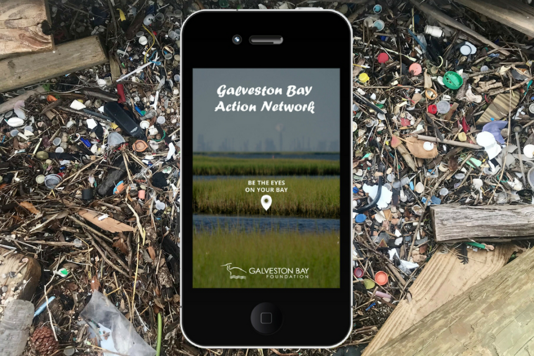 Gban houstonia thumbnail v6dibn