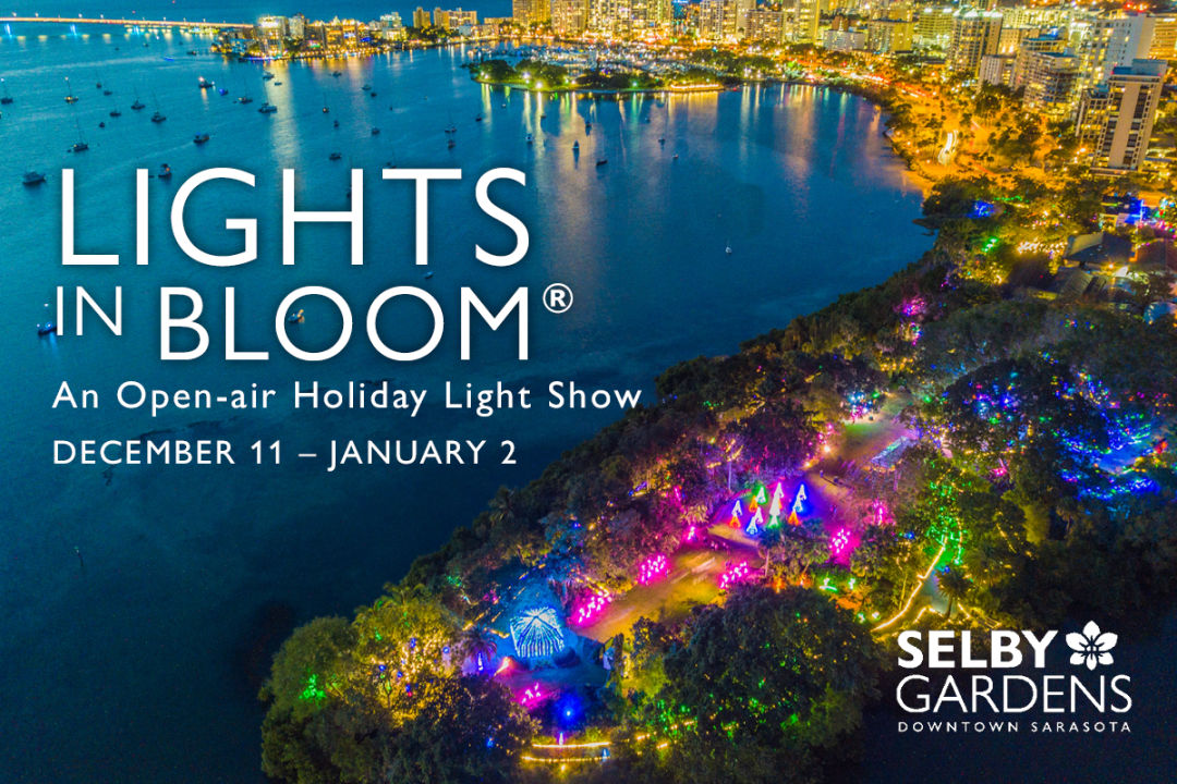 Lights in Bloom® An Openair Holiday Light Show at Selby Gardens