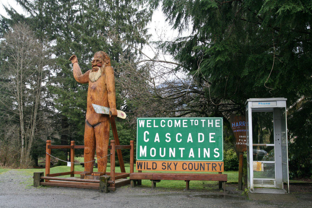 Bigfoot: The Pacific Northwest's Claim to Cryptid Fame