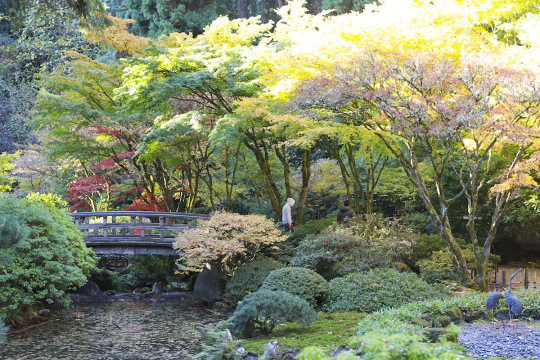 Japanese garden 1 g8yb6i