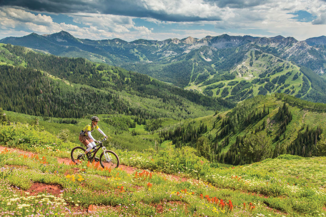 Ck crest trail 74 zlh64d