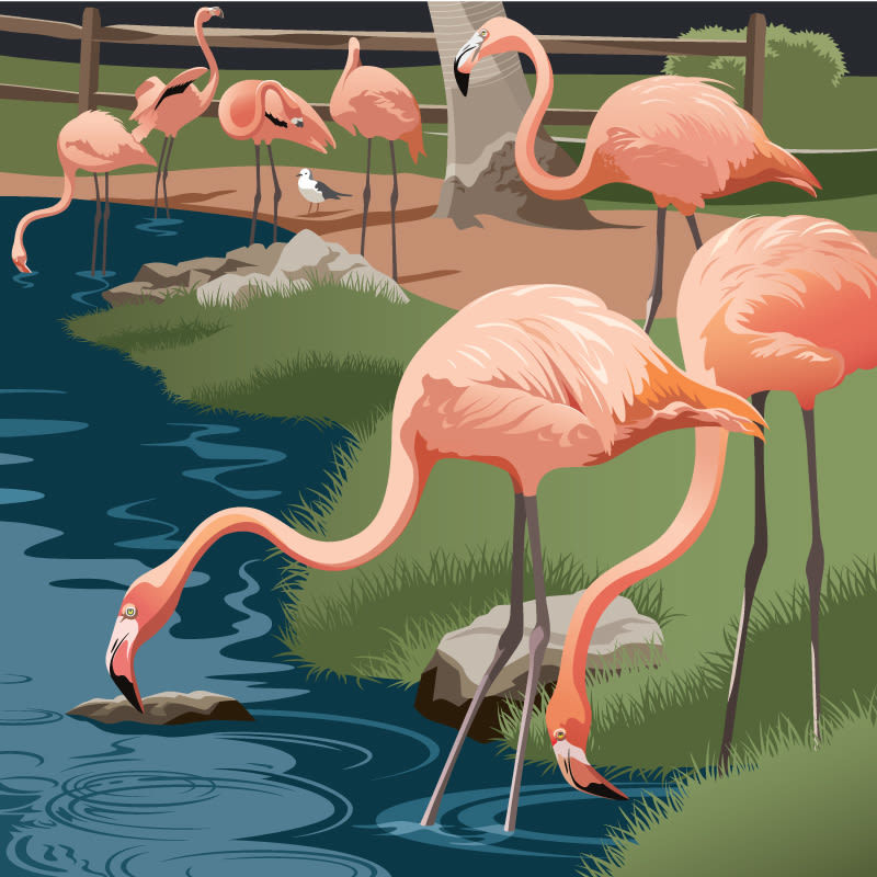 Flamingo gauuoh