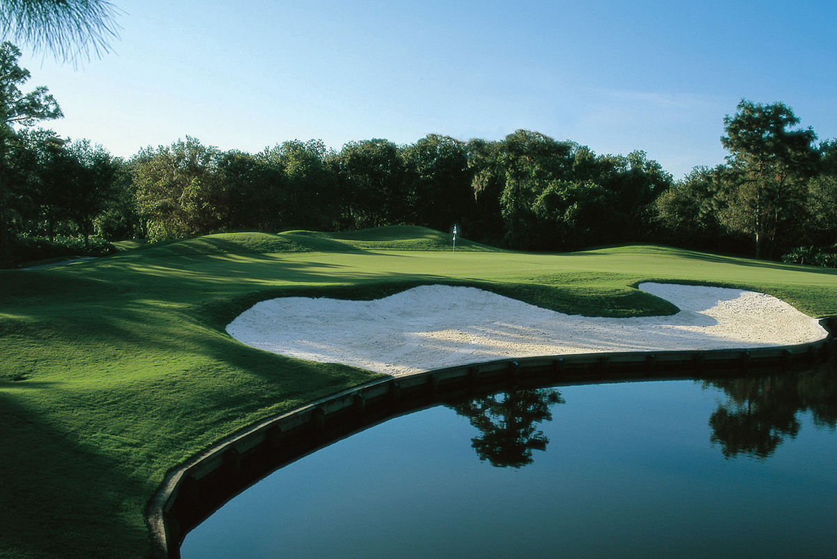 Live Dine Play Sarasota Magazine live-dine-play-sarasota-magazine