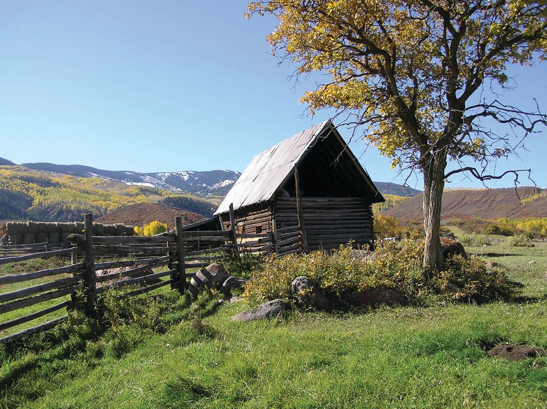 Child ranch marcia fusaro d2spdt