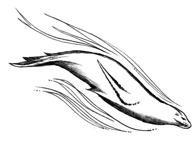 Sealion vqiadw