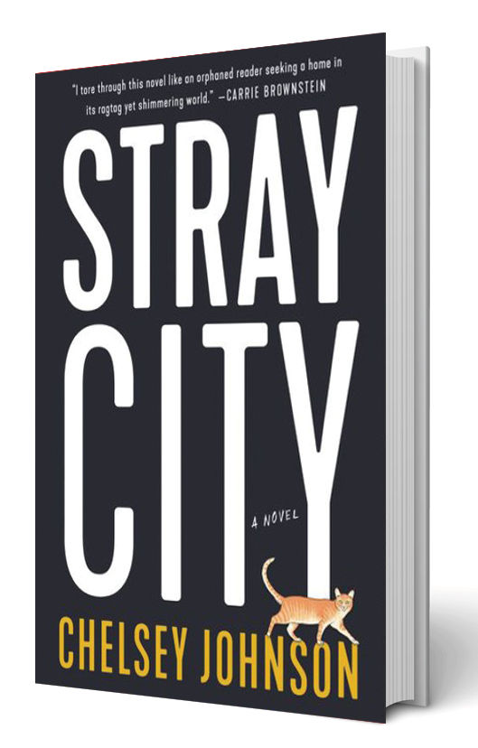 0518 arts essentials stray city rtzdvv