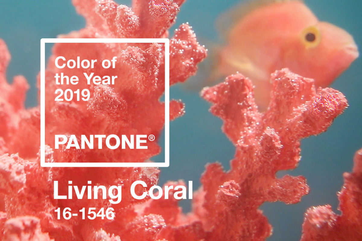Pantone Announces Its 2019 Color of the Year | Seattle Met