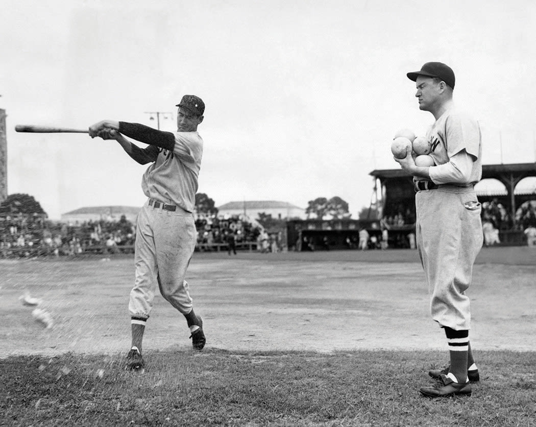 Retro Baltimore Black Sox Bat - The Beer Bat