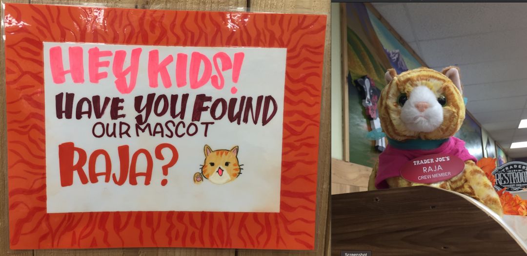 A sign asking "Hey kids! Have you found our mascot Raja?" with a drawing of a cute kitten face; a stuffed-toy kitten on a grocery shelf with a Trader Joe's employee name tag that says Raja