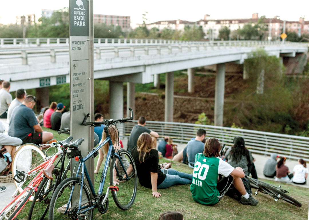 0217 buffalo bayou park waugh bridge bat colony sqwiu7