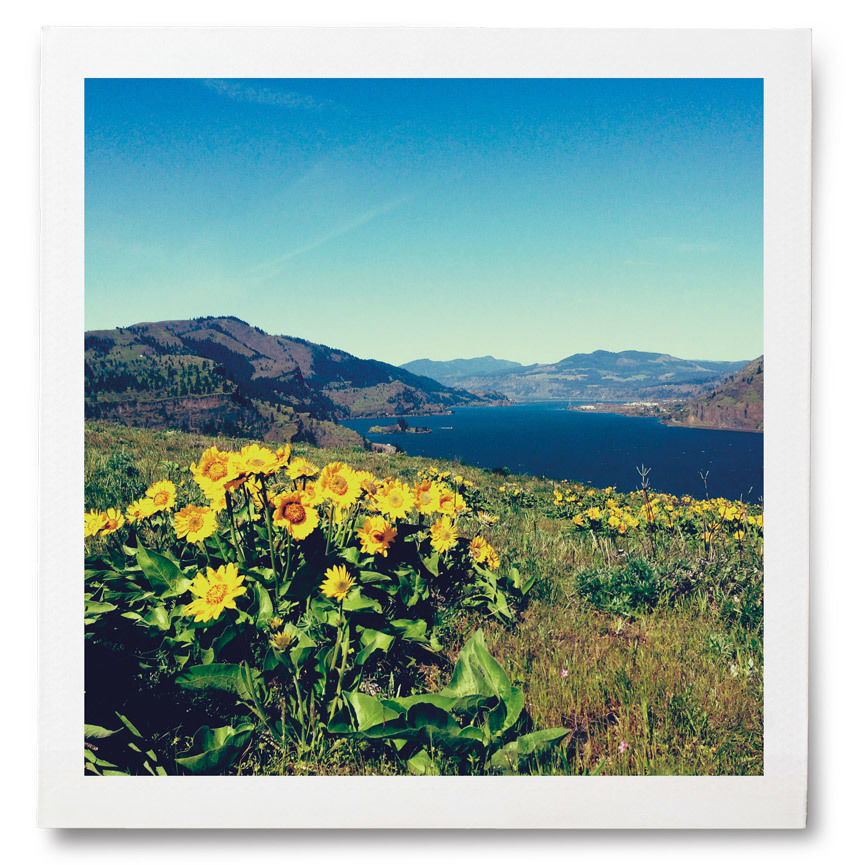 Columbia Gorge Trail: Mosier Plateau