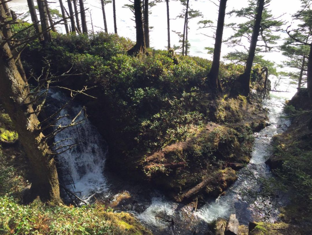 3 cape falcon hike alex keith blumenthal falls dqbbas