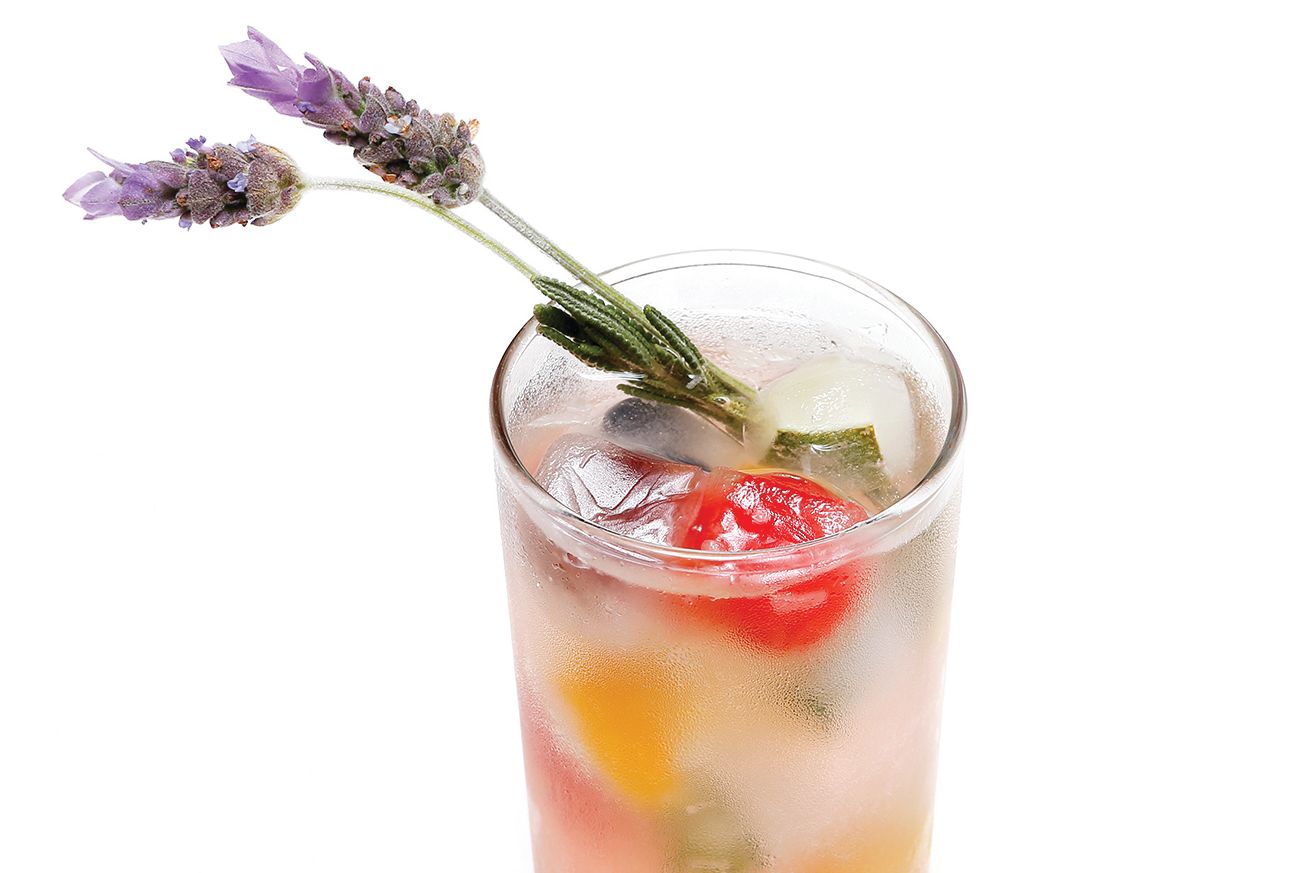 Your Guide to the Rosemary District Sarasota Magazine