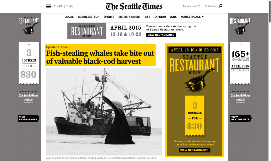 Whale k7r07k