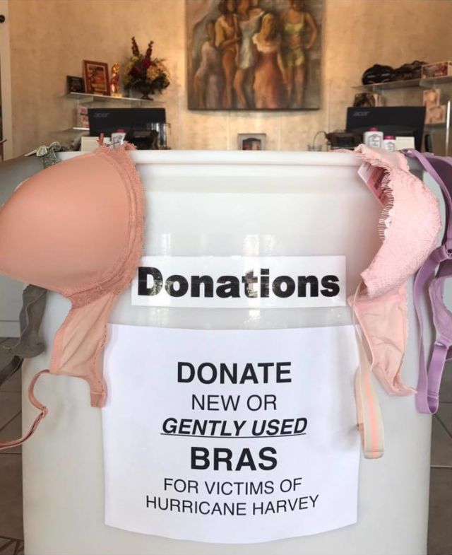 Purchase a Pair of Panties to Donate Locally!