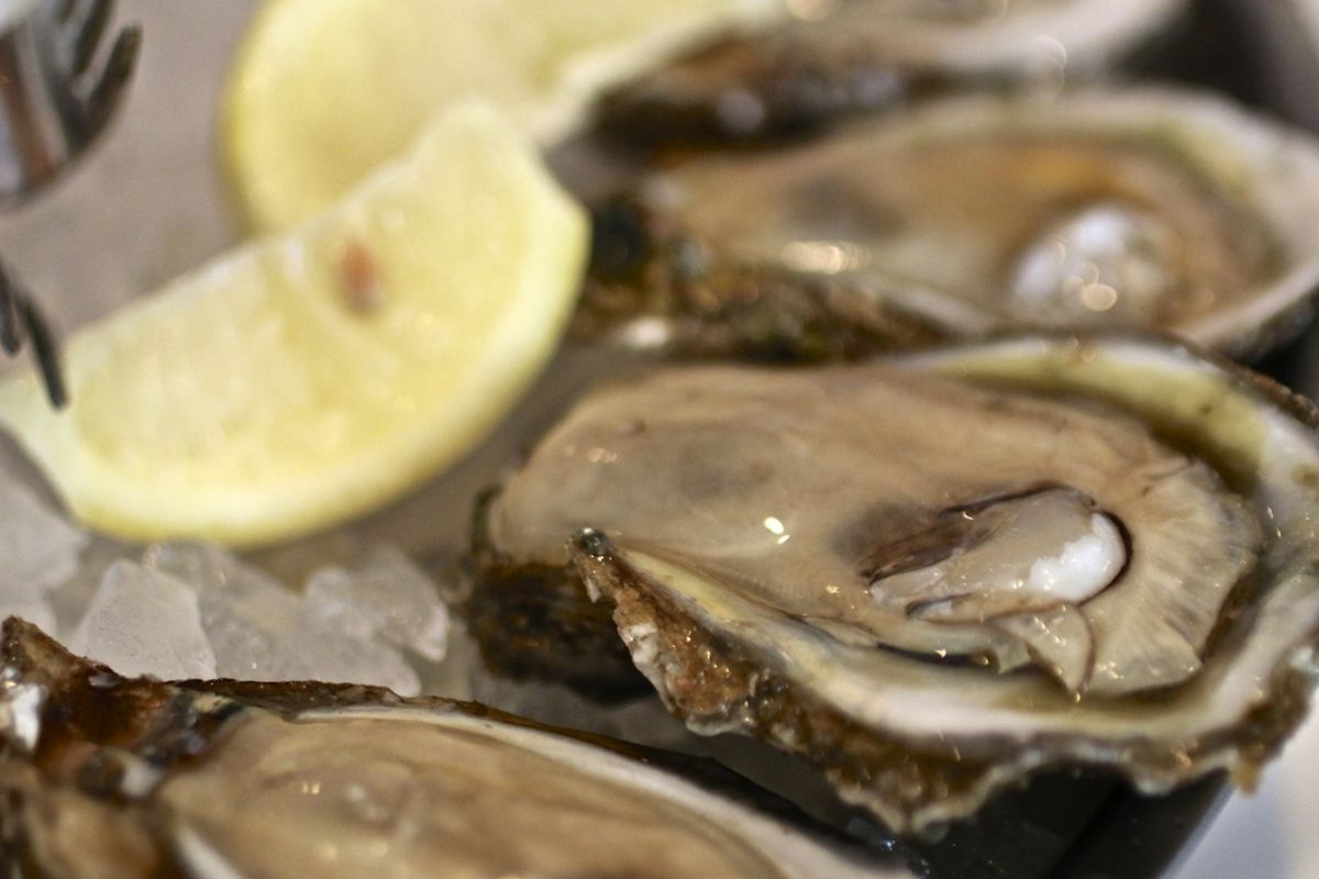 Oyster Season Soft Opening Houstonia