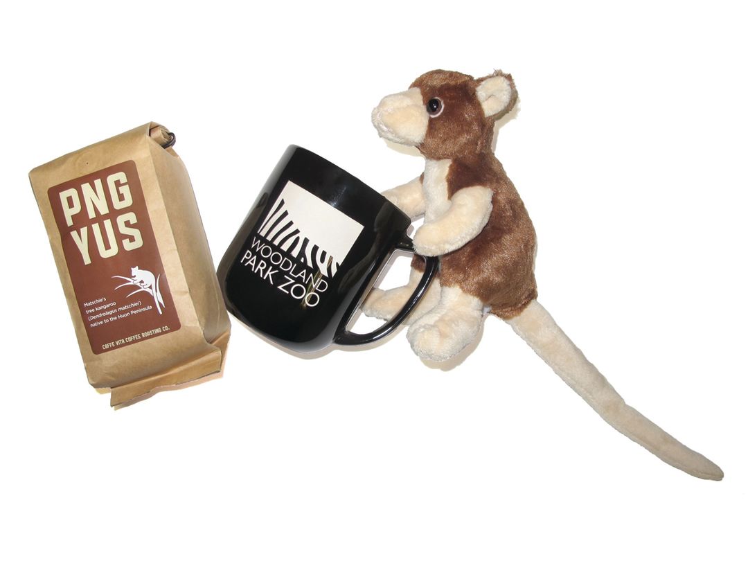 Wpz pngcoffee zoostore ztlvja