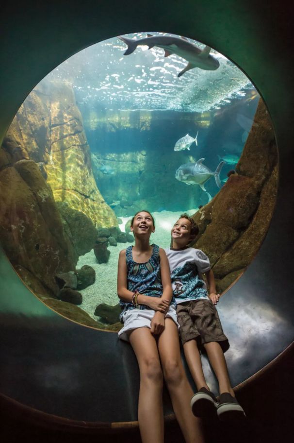Aquarium gmumlp