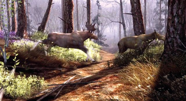 Pomo 0916 hunting big buck hunter ycscxm