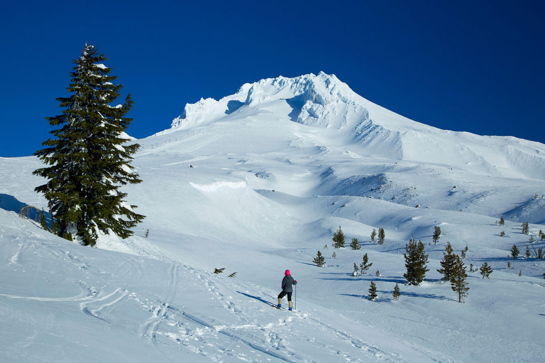 places to visit in oregon in january