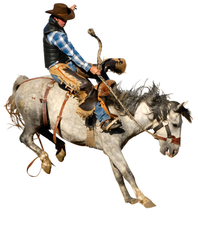 Cowboy 000003118751medium ftct61