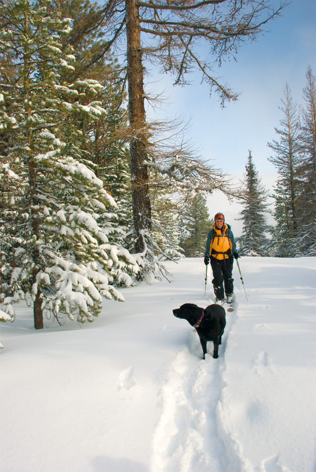 1209 46 skidog mnm1k4