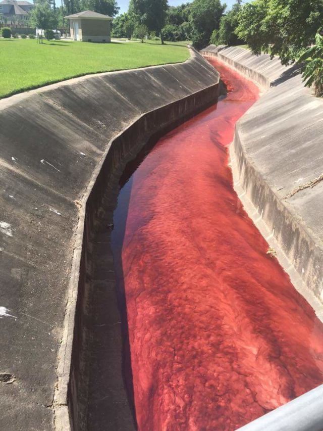 Chemical runoff from a chemical plant explosion today in houston. imgur unxlax