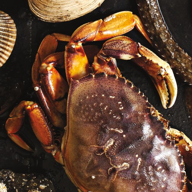 Crab lukdxp