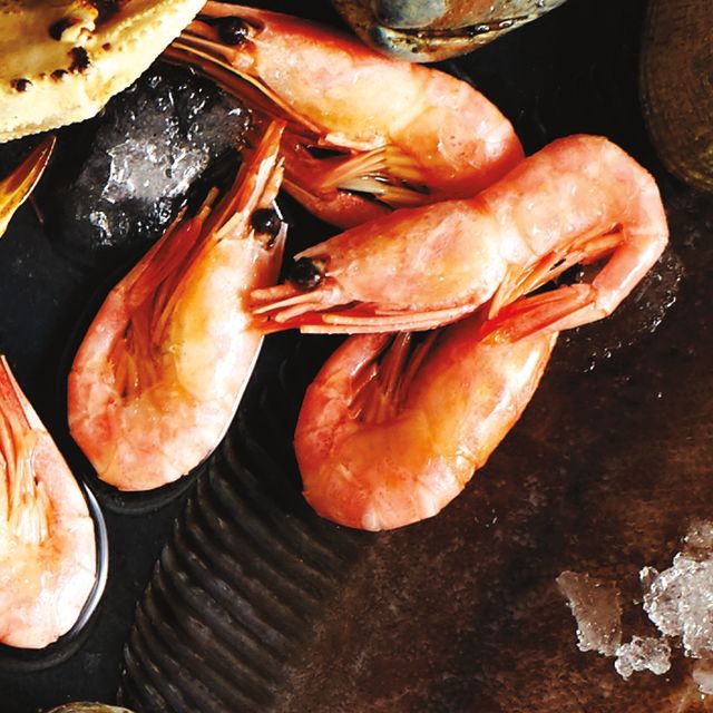 Shrimp gcnww2