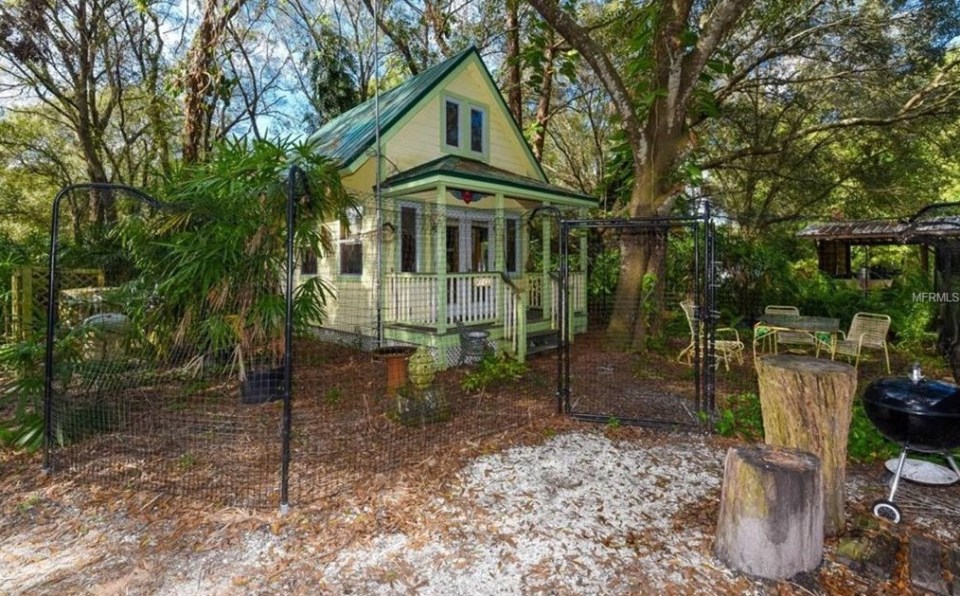 a bamboo farm out east sarasota magazine