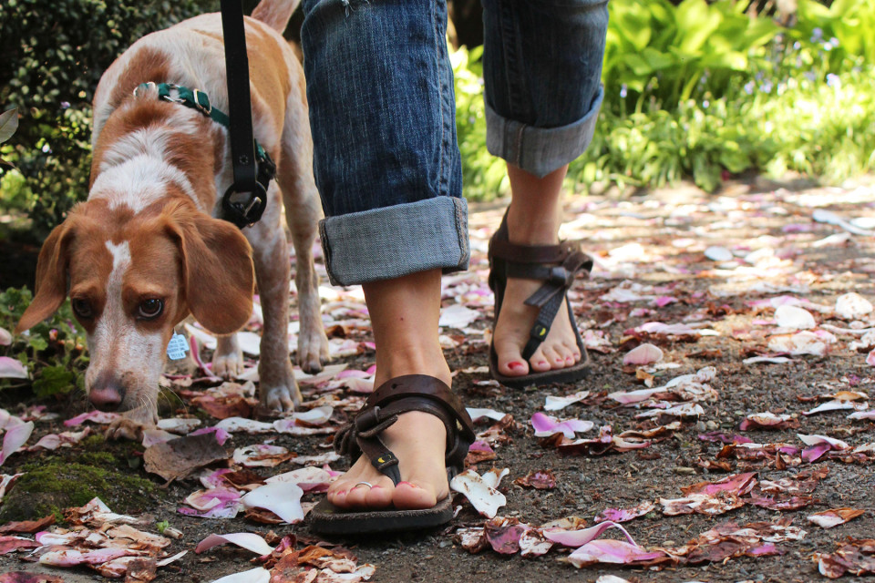 luna sandals shop