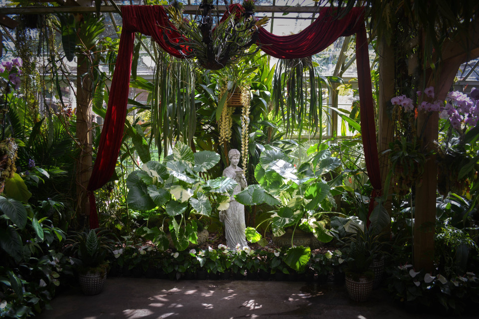 Orchid Lover Alert Selby Gardens Opens Its New Conservatory Show