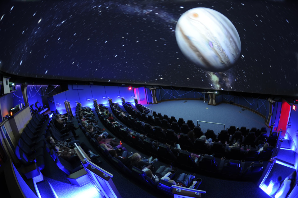 South Florida Museum Parker Manatee Aquarium